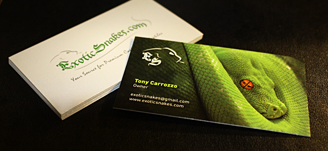 Exotic Snakes Business Card Preview