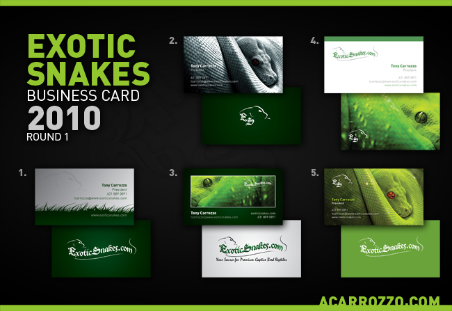Exotic Snakes Business Card - Step 1