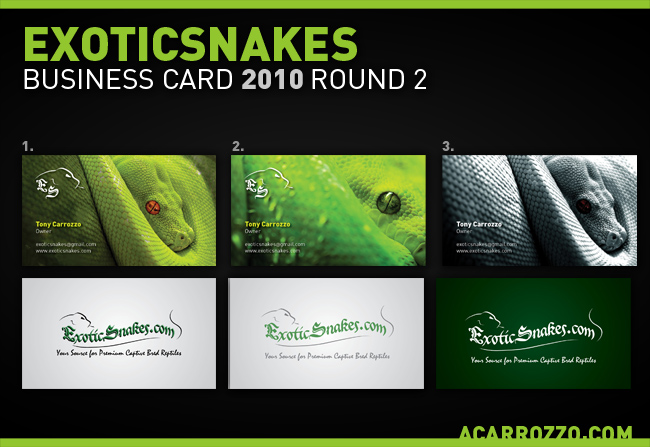 Exotic Snakes Business - Step 2