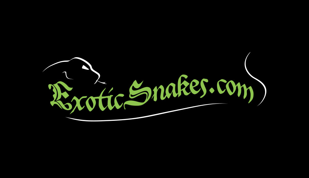 Exotic Snakes Logo Design