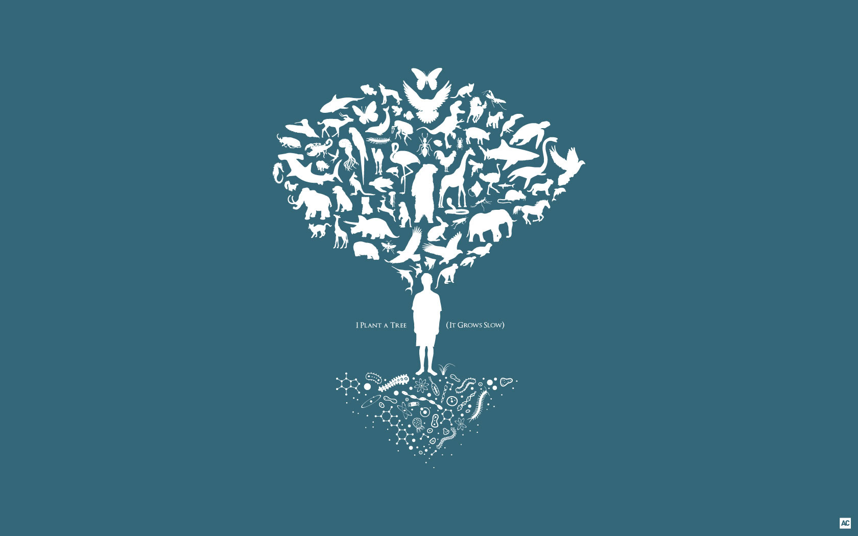 acarrozzo Wallpaper Design - Tree of Life, I plant a tree, it grows slow